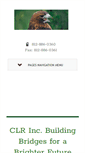 Mobile Screenshot of clrconstruction.org